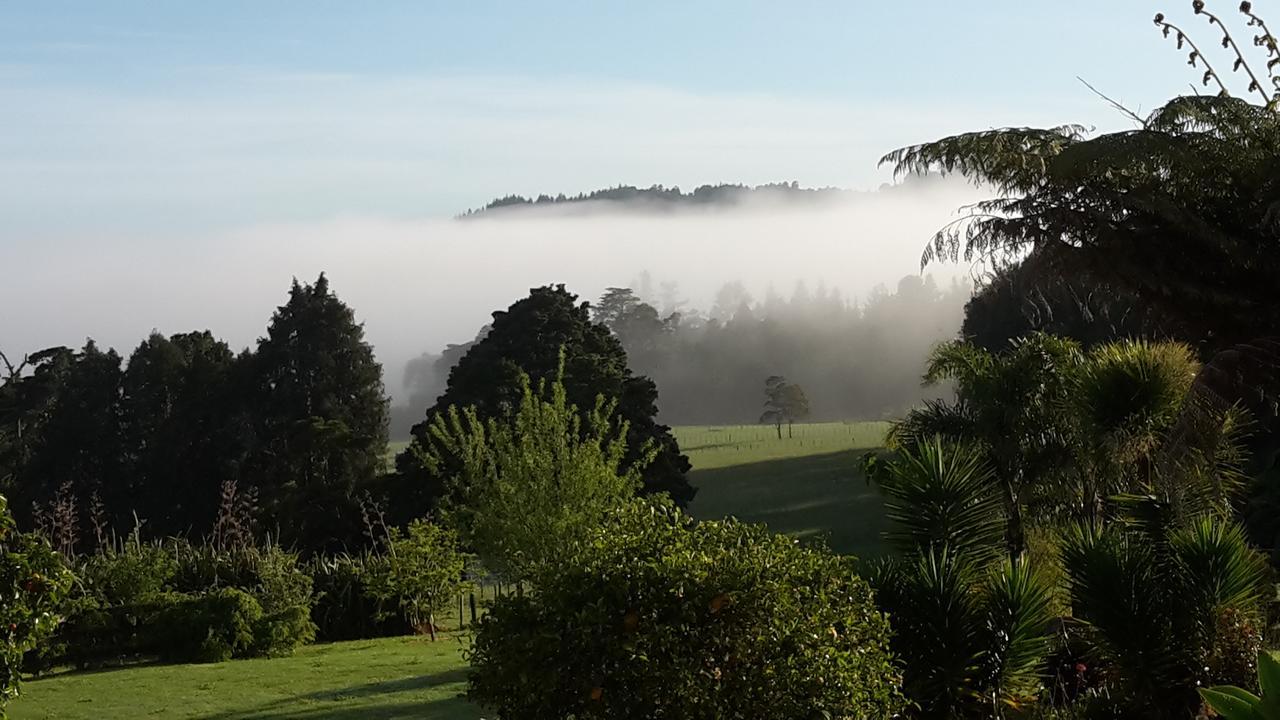 Bed and Breakfast Vinegar Hill Kauri Exteriér fotografie